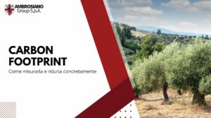 Carbon footprint supply chain